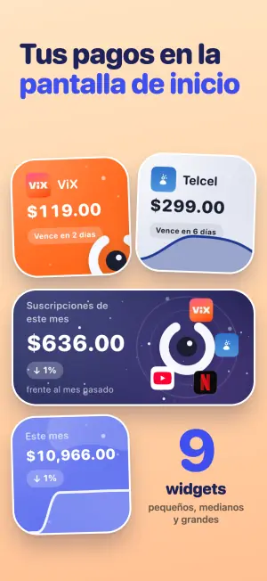 Tus pagos en la pantalla de inicio